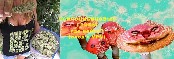 ALPHA PVP Киреевск
