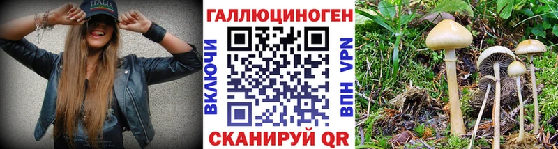 Галлюциногенные грибы Psilocybe  Купить  Ипатово 