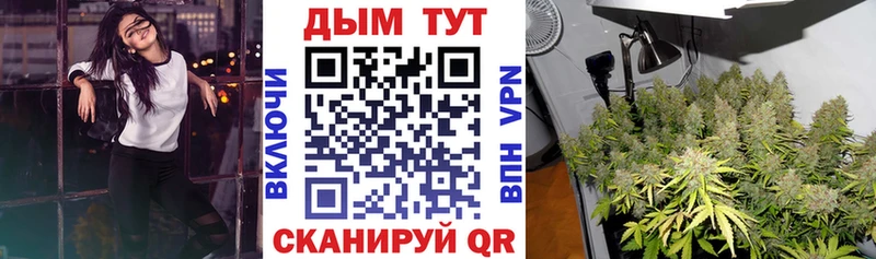 Шишки марихуана план  Купить закладки  Ипатово 